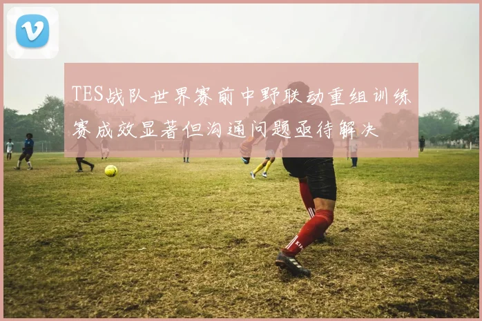 TES战队世界赛前中野联动重组训练赛成效显著但沟通问题亟待解决